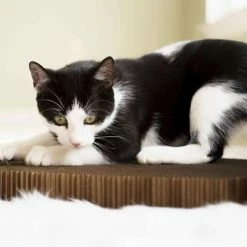 Americat Company Cat Scratcher PET ACCESSORIES