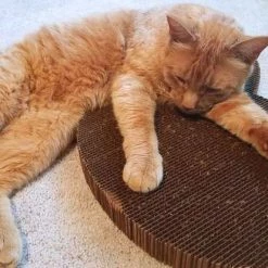 Americat Company Cat Scratcher PET ACCESSORIES