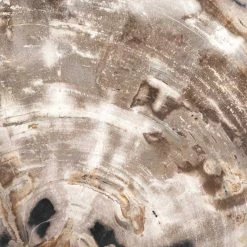 Four Hands DECOR & ROOM ACCESSORIES Petrified Wood Organic Sculpture