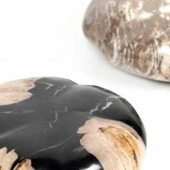 Four Hands DECOR & ROOM ACCESSORIES Petrified Wood Organic Sculpture