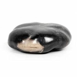 Four Hands DECOR & ROOM ACCESSORIES Petrified Wood Organic Sculpture