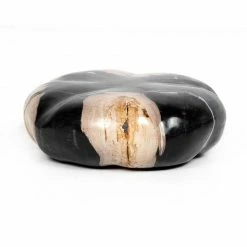 Four Hands DECOR & ROOM ACCESSORIES Petrified Wood Organic Sculpture