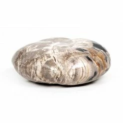 Four Hands DECOR & ROOM ACCESSORIES Petrified Wood Organic Sculpture