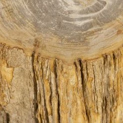 Four Hands Tables Riker End Table - Light Petrified Wood