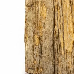Four Hands Tables Riker End Table - Light Petrified Wood