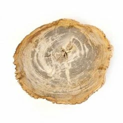 Four Hands Tables Riker End Table - Light Petrified Wood