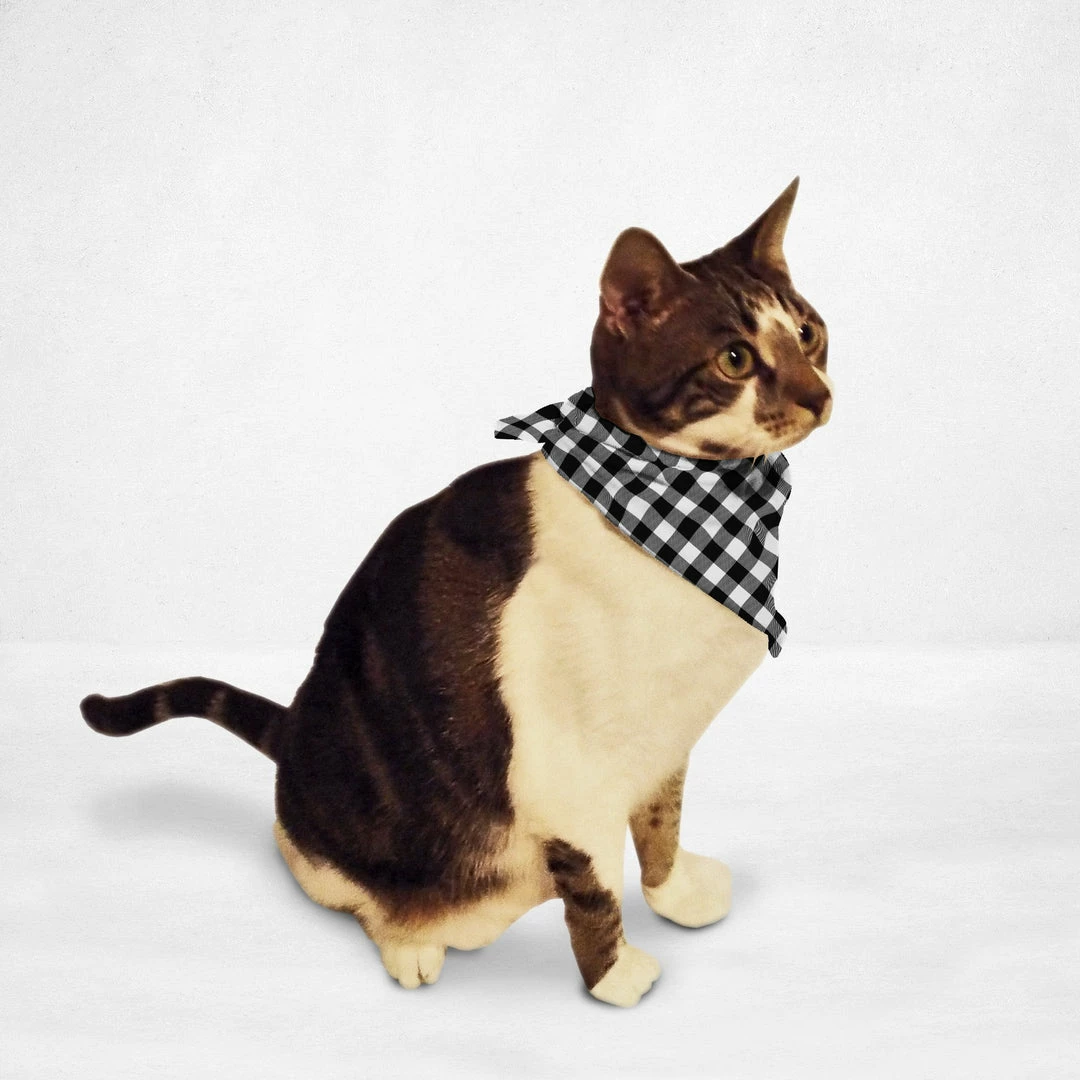 Orange Poppy PET ACCESSORIES Black & White Cat & Dog Bandana 1 Orange Poppy PET ACCESSORIES Black & White Cat & Dog Bandana