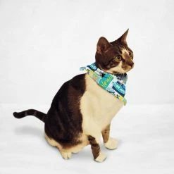 Orange Poppy Cali Vibes Cat & Dog Bandana PET ACCESSORIES