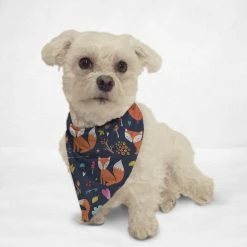 Orange Poppy Foxy Fall Cat & Dog Bandana