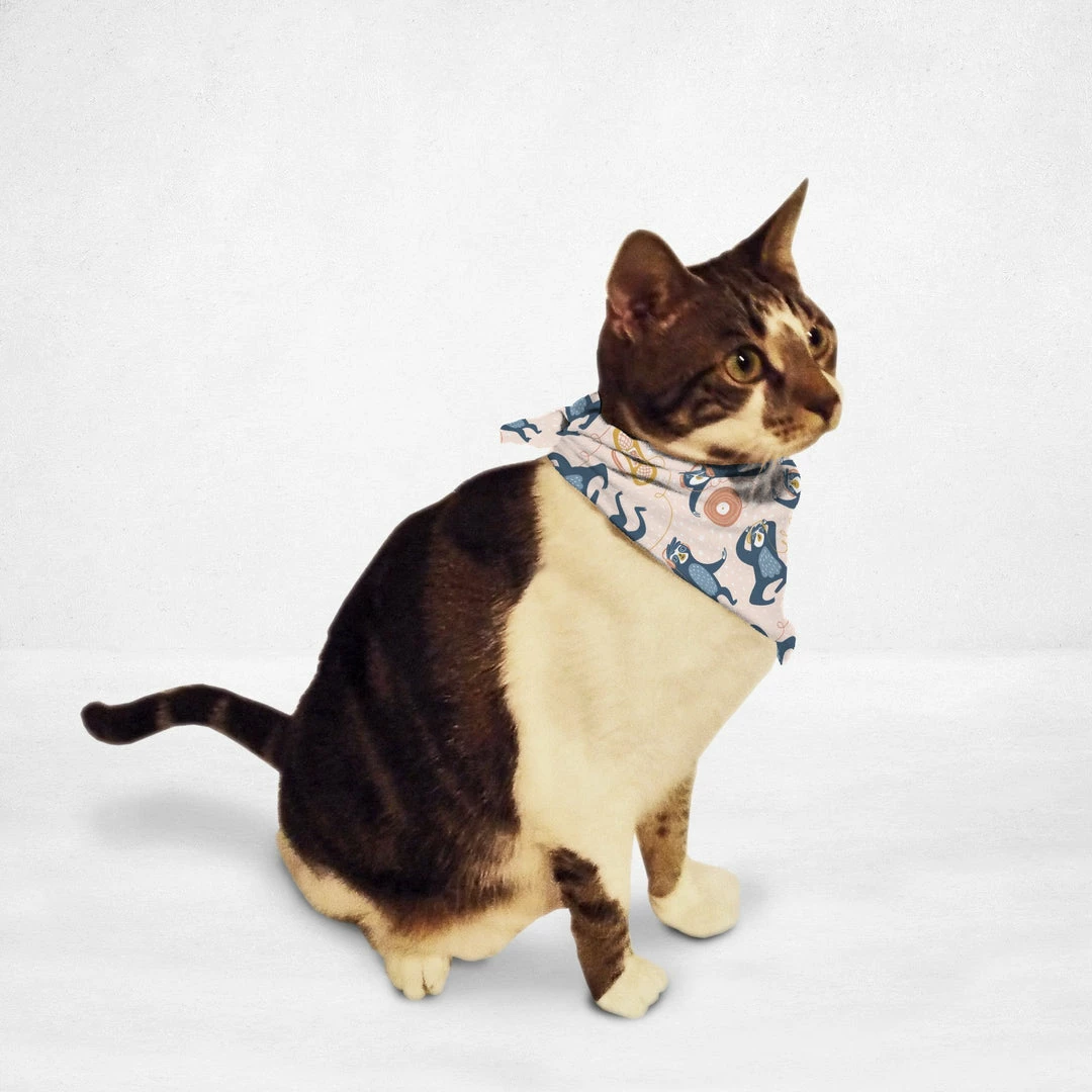 Orange Poppy Jam Session Cat & Dog Bandana PET ACCESSORIES 1 Orange Poppy Jam Session Cat & Dog Bandana PET ACCESSORIES