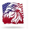 Precision Metal Art Waving Eagle Flag Wall Art