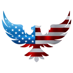 Precision Metal Art Rising Eagle Flag Wall Art