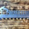 Precision Metal Art Wrestling Medal Hanger Window, Wall & Art